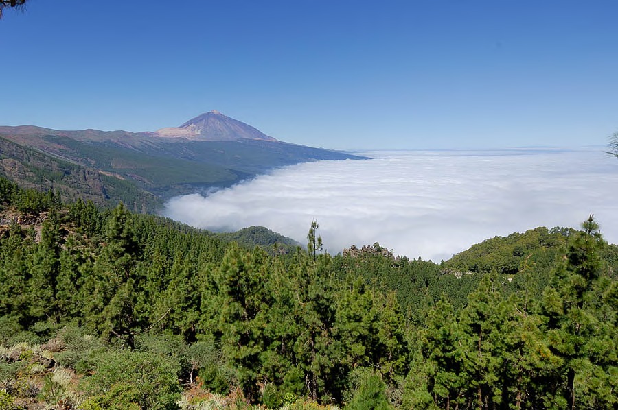TenerifeNature